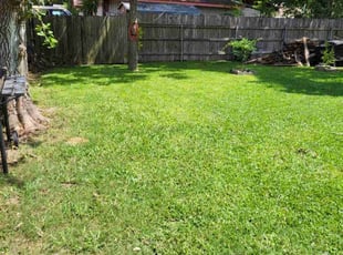 Jayson S.'s turf maintenance service result