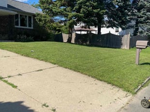 John D.'s turf maintenance service result