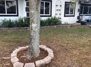 Donna D.'s lawn care services service result