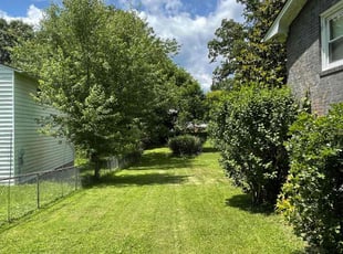 Chris C.'s grass maintenance service result