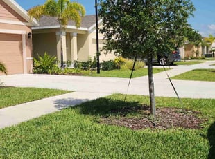 Charmise G.'s landscape maintenance service result
