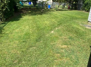 Mary L.'s grass cutting service result