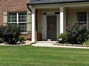 Brittany B.'s Bush Trimming service result