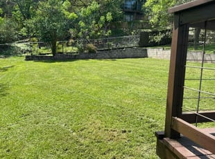 Jeff C.'s lawn care service result