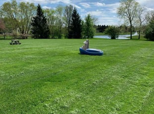 Jason S.'s lawn maintenance service result