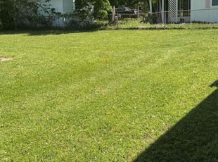 Romar C.'s lawn service service result