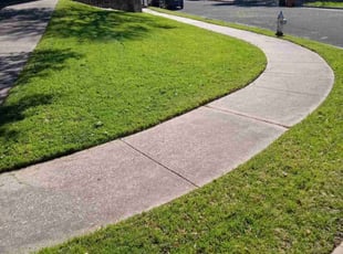 Sally M.'s yard work service result
