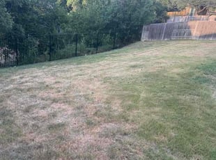 Judith L.'s lawn care services service result