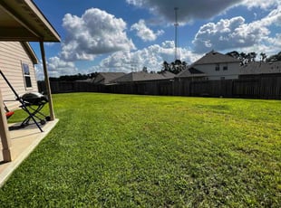 Ashley K.'s turf care service result