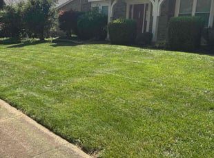 Charles J.'s turf maintenance service result