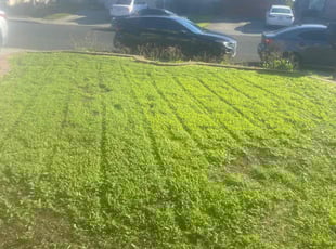 James C.'s lawn care services service result