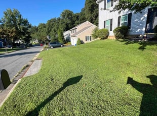 Amy C.'s lawn service service result