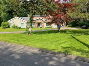 Lisa D.'s turf care service result