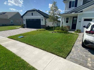 Shiloh F.'s gardening service service result