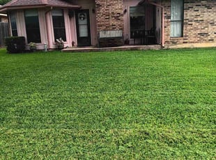 Matt V.'s turf care service result