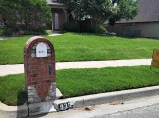 Antoine B.'s grass cutting service result