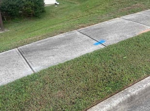 Barbara G.'s lawn maintenance service result