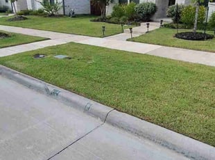 Terry P.'s lawn care service result
