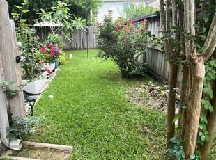 Briana L.'s lawn maintenance service result