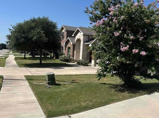 John L.'s grass cutting service result
