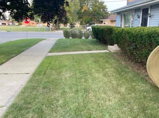 Ann B.'s grass cutting service result