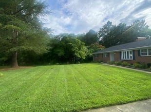 Liz S.'s grass maintenance service result