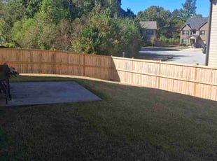 Robert M.'s grass cutting service result