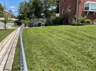 Darlene D.'s turf care service result