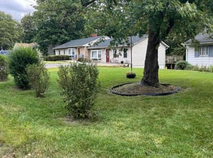 Howard G.'s landscaping services service result