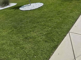 Takeya O.'s yard service service result