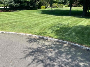 Shannika M.'s lawn care services service result