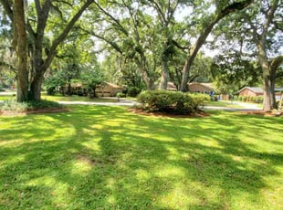 Lindsay G.'s grass maintenance service result