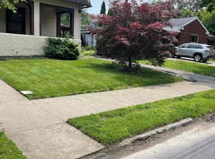 Sally C.'s lawn care services service result
