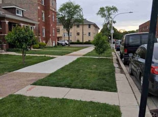 Bianca M.'s grass cutting service result