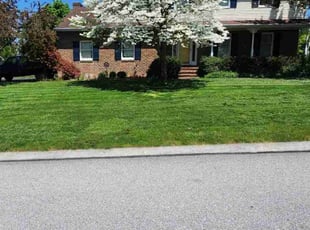 Daniel S.'s turf maintenance service result