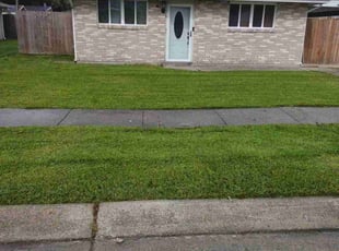 Andrew A.'s turf care service result