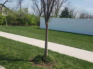 Tyler F.'s lawn care service result