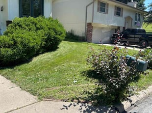 J.C. F.'s turf care service result