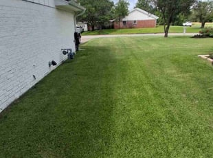 Dexter M.'s grass cutting service result