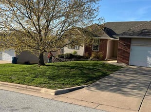 Max B.'s turf maintenance service result