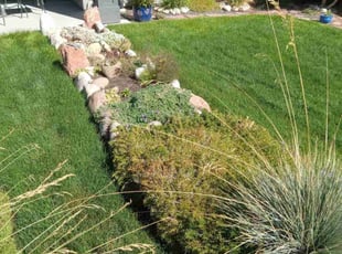Faro S.'s grass maintenance service result
