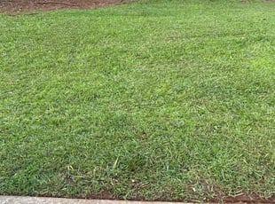 Joyce O.'s lawn maintenance service result