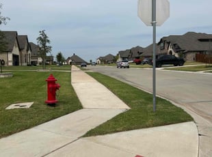 Peter D.'s turf maintenance service result