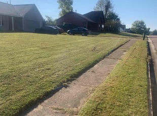 Salitha D.'s lawn maintenance service result