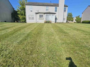 Debby K.'s lawn service service result