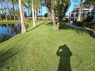Jacob C.'s lawn service service result