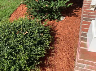 Marsalis P.'s Flower Bed Weeding service result