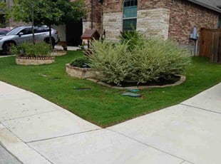 Deborah S.'s yard work service result