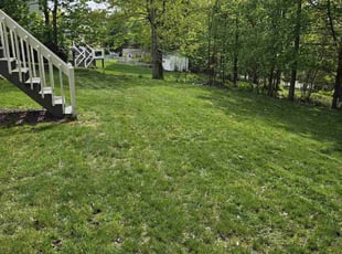 Terry P.'s lawn care services service result