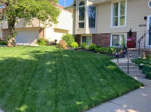 Reginald L.'s turf care service result